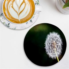 White Flower Uv Print Round Tile Coaster