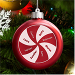 Personalized Family Name Circle LED Glass Round Ornament Front