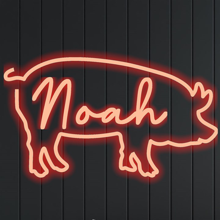 Personalized Pig Shape Name Neon Signs and Lights