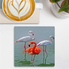 Birds Uv Print Square Tile Coaster 