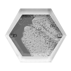 Plumage Hexagon Wood Jewelry Box