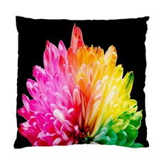 Abstract, Amoled, Back, Flower, Green Love, Orange, Pink, Standard Cushion Case (one Side)