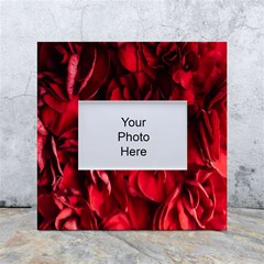 Followers,maroon,rose,roses White Box Photo Frame 4  X 6 