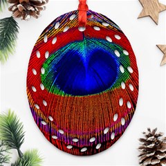 Peacock-feathers,blue 1 Ornament (oval Filigree)