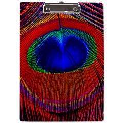 Peacock-feathers,blue 1 A4 Acrylic Clipboard