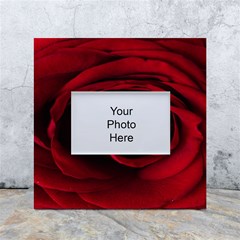 Rose Maroon White Box Photo Frame 4  X 6 