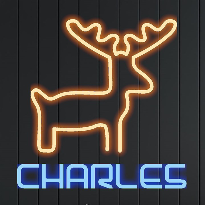 Personalized Christmas Deer Name Neon Signs and Lights