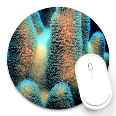 Photo Coral Great Scleractinia Round Mousepad