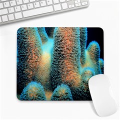 Photo Coral Great Scleractinia Large Mousepad