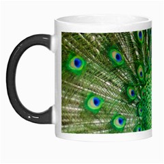 Peafowl Peacock Morph Mug