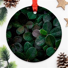 Dark Nature , Nature, Edeg Round Ornament (two Sides)