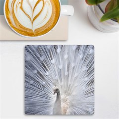 White Peacock Bird Uv Print Square Tile Coaster 