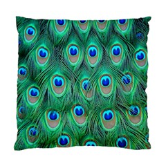 Feather, Bird, Pattern, Peacock, Texture Standard Cushion Case (one Side)