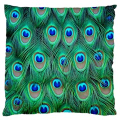 Feather, Bird, Pattern, Peacock, Texture Large Cushion Case (one Side)