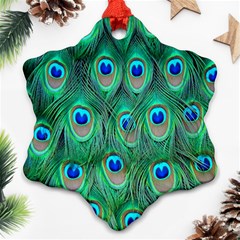 Feather, Bird, Pattern, Peacock, Texture Ornament (snowflake)