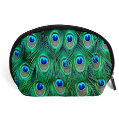 Feather, Bird, Pattern, Peacock, Texture Accessory Pouch (large)