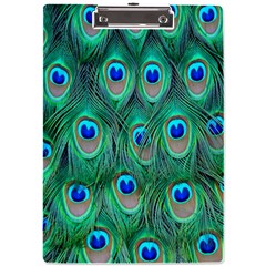 Feather, Bird, Pattern, Peacock, Texture A4 Acrylic Clipboard