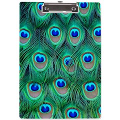 Peacock Feathers, Bonito, Bird, Blue, Colorful, Feathers A4 Acrylic Clipboard