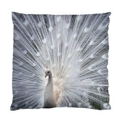 White Feathers, Animal, Bird, Feather, Peacock Standard Cushion Case (two Sides)