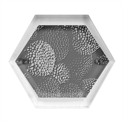 Berry,raspberry, Plus, One Hexagon Wood Jewelry Box