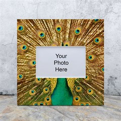 Peacock Feather Bird Peafowl White Box Photo Frame 4  X 6 