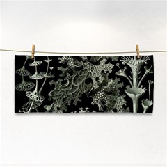 Weave Haeckel Lichenes Photobionten Hand Towel