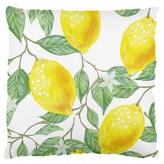 Fruit-2310212 16  Baby Flannel Cushion Case (two Sides)
