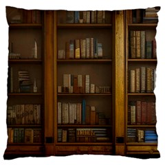 Books Book Shelf Shelves Knowledge Book Cover Gothic Old Ornate Library 16  Baby Flannel Cushion Case (two Sides)