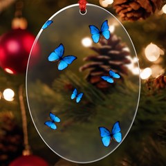 Butterfly-blue-phengaris Uv Print Acrylic Ornament Oval