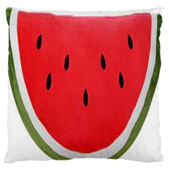 Watermelon Pillow Fluffy 16  Baby Flannel Cushion Case (two Sides)