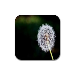 White Flower Rubber Coaster (square)