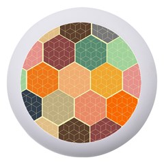 Hexagonal Pattern Vector Dento Box With Mirror