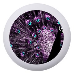 Purple Peacock Dento Box With Mirror