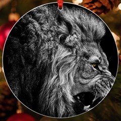 Angry Male Lion Wild Animal Uv Print Acrylic Ornament Round