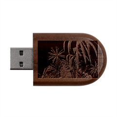 Firework Fireworks Display Lake Wood Oval Usb Flash Drive