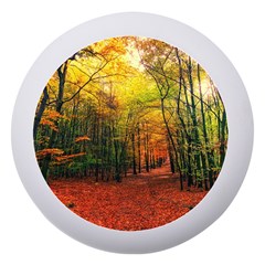Forest Woods Autumn Nature Dento Box With Mirror