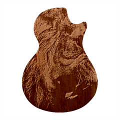 Angry Male Lion Predator Carnivore Guitar Shape Wood Guitar Pick Holder Case And Picks Set