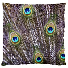Peacock Bird Feathers Plumage Peacock 16  Baby Flannel Cushion Case (two Sides)