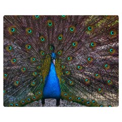 Bird Peacock Feathers Two Sides Premium Plush Fleece Blanket (teen Size)