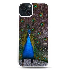 Bird Peacock Feathers Iphone 15 Tpu Uv Print Case