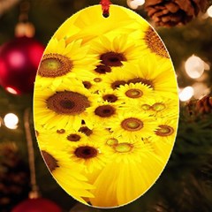 Beautiful Sunflowers Uv Print Acrylic Ornament Oval
