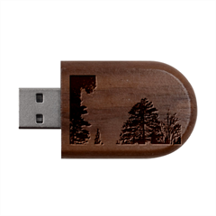 Silhouette Of Aurora Borealis Wood Oval Usb Flash Drive