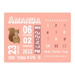 Personalized Baby Information Gift Two Sides Premium Plush Fleece Blanket (Mini) 35, x27,  Blanket Front