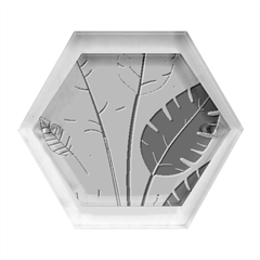 Leaves Boho Monster Nature Hexagon Wood Jewelry Box