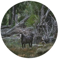 Meadow Landscape, Los Altares, Chubut Province, Argentina Wooden Bottle Opener (round)