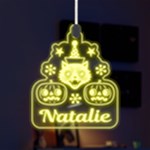 Personalized Halloween Cat Pumpkin Name LED Acrylic Ornament Front