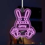 Easter Rabbit LED Acrylic Ornament Front