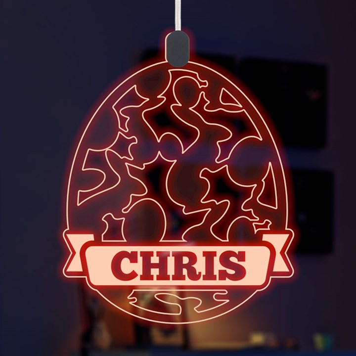 Personalized Name Easter Bunny Pattern LED Acrylic Ornament