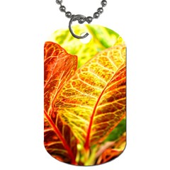 Leaves Plant Pattern Croton Nature Dog Tag (one Side)