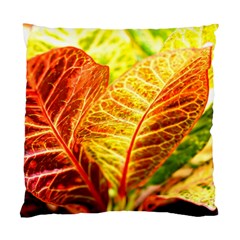 Leaves Plant Pattern Croton Nature Standard Cushion Case (one Side)